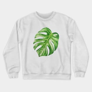 Watercolour Monstera Plant Crewneck Sweatshirt